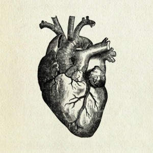 heart-1
